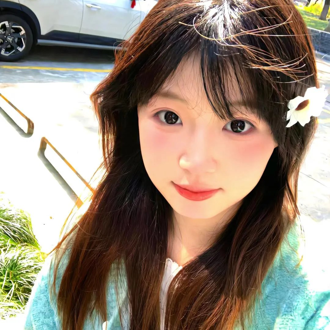山茶花飘零